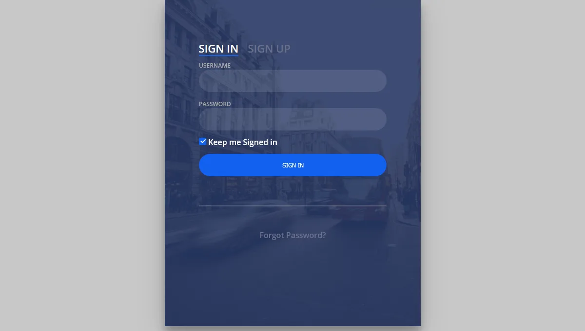 Login-Form